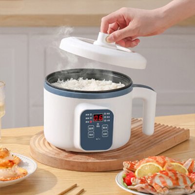 Cuiseur à riz | Multifonctions Premium